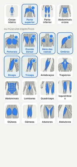 O seletor: zonas do corpo e músculos precisos